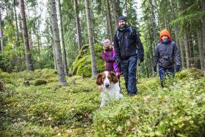 En familj och en hund promenerar i höstskogen. 