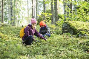 En vuxen och ett barn plockar bär i skogen.