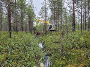 En grävmaskin täpper till ett dike i en torvmarksskog.