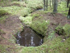 Kuvassa on lähde ja lähteestä kaivettuun uomaan tehty patorakenne, joka on maisemoitu.