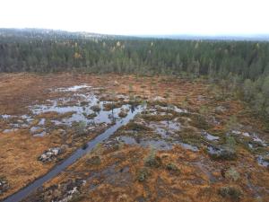Suoalue, joka on avoin ja jossa on vesittynyttä aluetta.