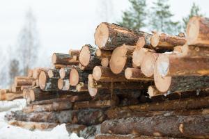 En virkestrave på vintern