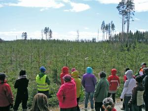 En grupp skogsägare betraktar en välskött plantskog.