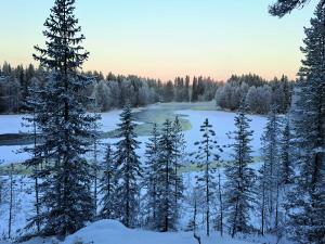 Talvinen metsä, taustalla joki