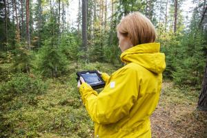 En kvinna i gul jacka tittar på en pekplatta i skogen.