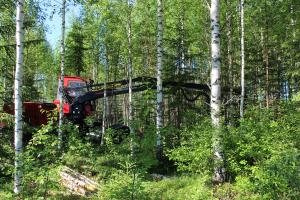 En avverkningsmaskin gallrar i skogen.