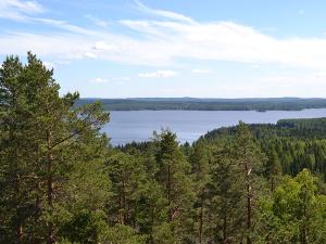 Näkymä korkealta mäntymetsän yli järvelle.