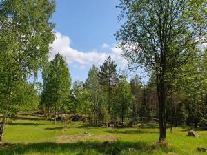 Laidunalue kesällä