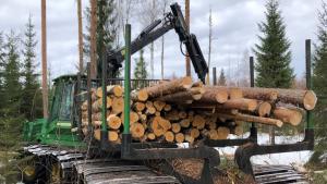 Leveillä teloilla varustettu metsätraktori kuljettaa puutavarakuormaa talvisessa suometsässä.