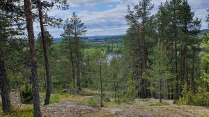 Maisema, jossa näkymä vesistölle kallion männiköstä.