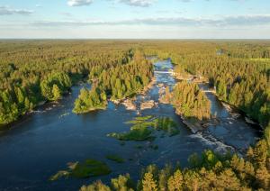 Ilmakuva Kiiminkijoesta, joki virtaa keskellä ja joessa näkyy muutama silta. Ympärillä vihreää metsää.