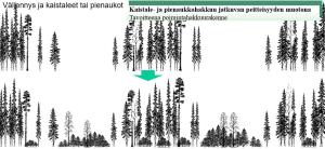 Piirretty havainnekuva kaistale- ja pienaukkohakkuusta. Ylemmässä kuvassa on piirretty kolme puustoa kasvavaa kohtaa, joiden välissä on tyhjät aukot. Alemmassa kuvassa aukkoihin on syntynyt puustoa.
