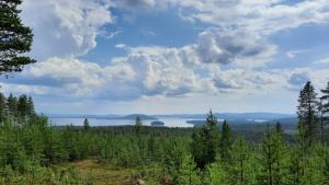 Metsämaisema järvelle Lapissa.