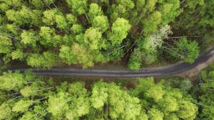 Kuva, joka sisältää ylhäältä päin kuvattua metsää ja hiekkatien.