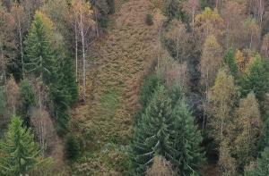 Kuvan reunoilla näkyy metsää ja keskellä kulkee puuton kaista. Kaistalla kulkee sähkölinjan maakaapelointi, sähkölinjaa ei ole näkyvillä ilmassa.
