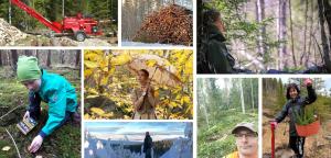 Erilaisia metsäisiä kuvia. Osassa kuvia on ihminen metsässä esimerkiksi istuttamassa puita ja keräämässä sieniä. Mukana on kuvat myös klapikoneesta ja puupinosta.