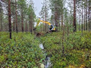 Kaivinkone täyttämässä ojaa suometsässä.