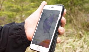 En hand håller i en mobiltelefon med Allatumetsä-appen på skärmen.