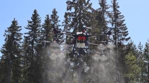 Drone levittää boorilannoitetta metsässä.