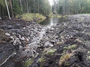 Sedimenteringsbassäng