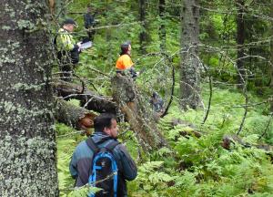 Luonnonhoitokorttikokeeseen osallistuvia kokelaita kesällä rehevässä metsässä. 