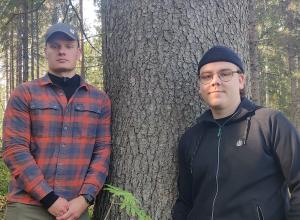 Skogsproffsen Vesa Holopainen och Miika Mantere står vid stammen till en stor gran.