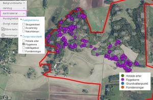 Flygkorre i MinSkog.fi