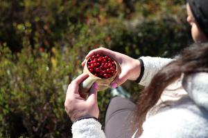 En person håller en trämugg full med lingon i handen.