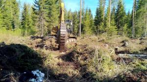 Kaivinkone metsässä. Etualalla näkyy kantoja, risukkoa ja mätästettyä maata.