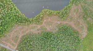 Ylhäältä kuvatussa kuvassa on rantaa reunustava suojakaista ja hakkuualuetta. 