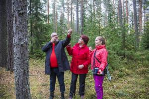 En man övar på att använda ett relaskop i skogen. Två kvinnor följer med hur det går.