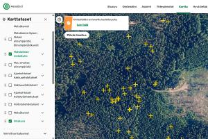 Ruutukaappauskuva Metsään.fi-palvelun näkymästä, jossa on ilmoitus ”Kiinteistölläsi on havaittu kuolleita puita”. Kuolleet puut on merkitty +-symbolilla ja karttatasot Ilmakuva ja Mahdollinen metsätuho on valittu näkyviin.