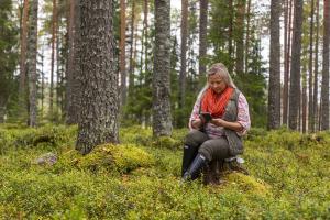En person använder mobiltelefon när hen sitter på en stubbe i skogen.