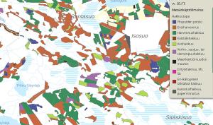 Skärmdump på karttjänsten över planerade avverkningar.