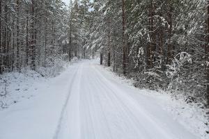 En skogsväg på vintern.