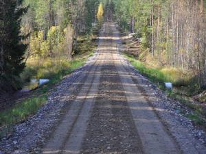 En grusad skogsväg