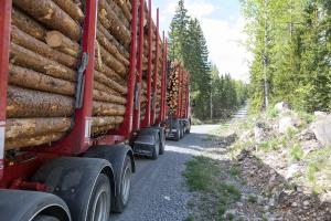 En stockbil kör längs en förbättrad skogsväg. 