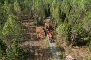 En virkestransportbil hämtar virke från dtt avlägg i skogen.