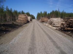 En skogsväg som förbättrats och är i gott skick. På vägkanterna syns virkestravar.