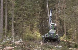 Hakkuukone tekemässä poimintahakkuuta metsässä kesällä.