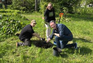 Roope Tonteri, Riitta Torikka och Ilpo Rautio planterar ett pristräd.