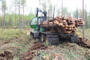 En skogsmaskin samlar ved i en torvmarksskog