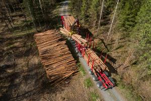 En långtradare lastas med virke längs en skogsbilväg.