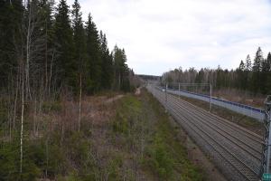 Järnväg och kantskog.