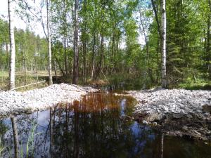 En bottendamm i ett dike från en våtmark.