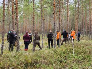 Människor i torvmarksskog på terrängutbildning.  