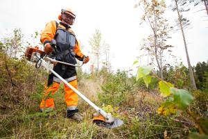 En man i arbetskläder håller i en röjsåg i en plantskog.