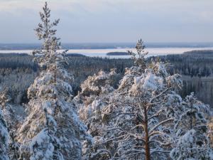Ett vinterlandskap fotograferat från högt uppe på en backe.
