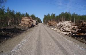 Hyväkuntoinen metsätie, jonka molemmin puolin puupinoja.