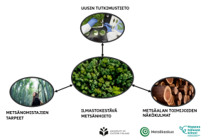 Kaavio: Uusin tutkimustieto, metsänomistajien tarpeet, ilmastokestävä metsänhoito, metsäalan toimijoiden näkökulmat